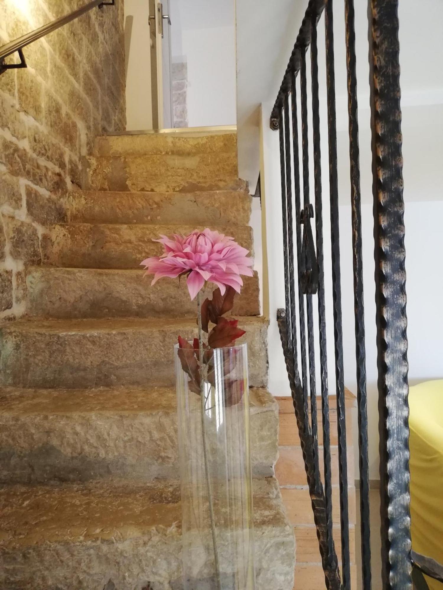 Lory Vila Sveti Lovreč Pazenatički Exterior foto