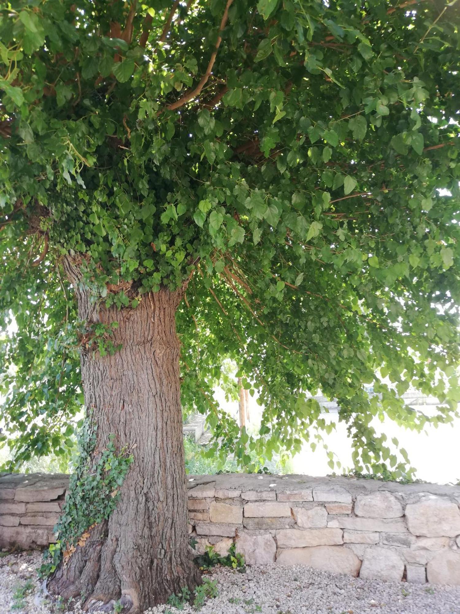 Lory Vila Sveti Lovreč Pazenatički Exterior foto